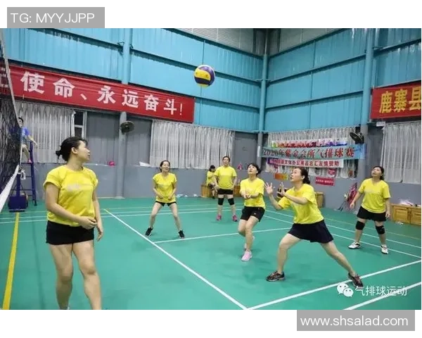 武汉排球队选拔赛心理素质分析与表现评估探讨