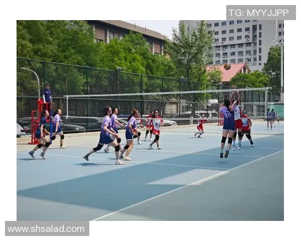 排球巨献：深入解析北京排球队员个人能力与团队协作的完美结合