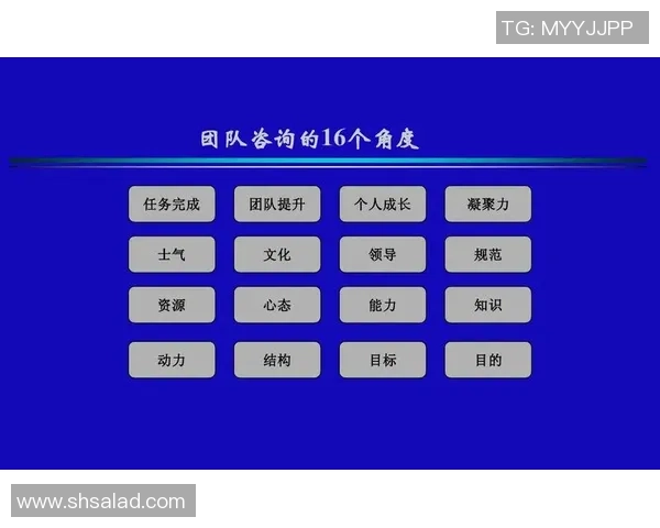 成都篮球队转换体系解析：高效战术与团队协作的完美结合