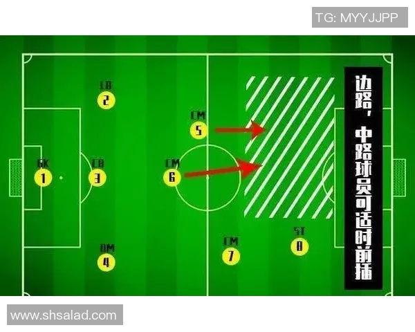 深入分析北京排球队的节奏打法与战术特点及其对比赛的影响