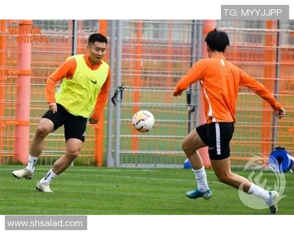 武汉乒乓球队迎来节奏变革引发热议新策略助力竞技水平提升