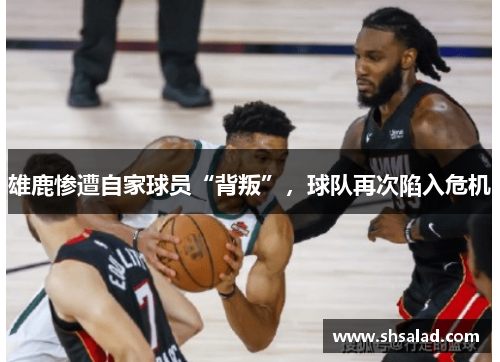 雄鹿惨遭自家球员“背叛”，球队再次陷入危机