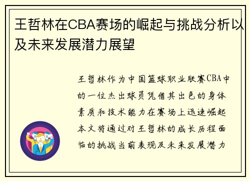 王哲林在CBA赛场的崛起与挑战分析以及未来发展潜力展望